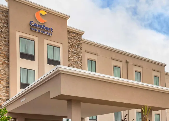 Hotel: Comfort Inn & Suites Jacksonville - Orange Park Near Naval Air Station